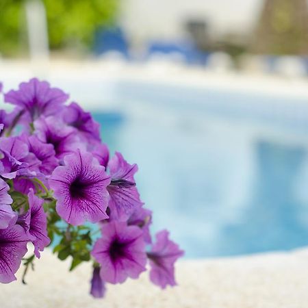 La Crisalida Retreats Apartamento El Albir Exterior foto