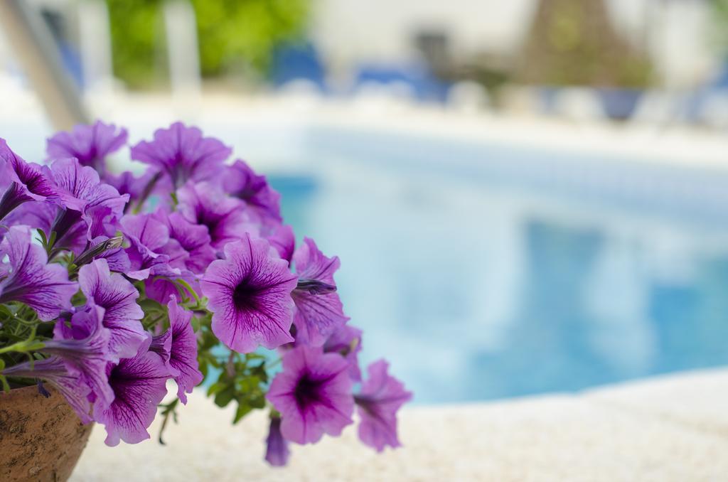 La Crisalida Retreats Apartamento El Albir Exterior foto